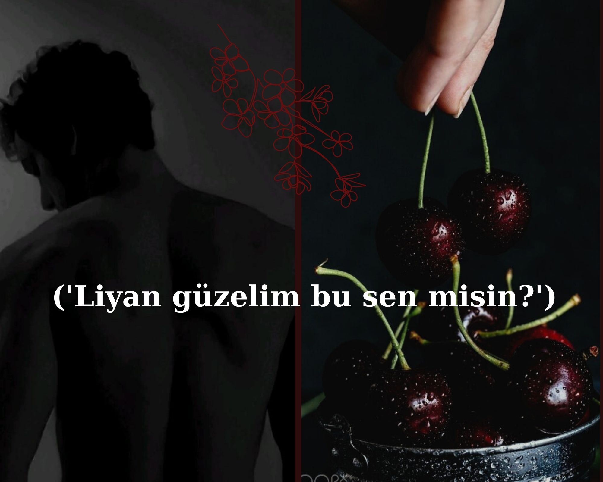 Gönderi görseli